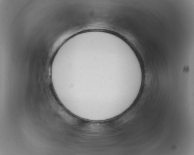 X0000112841366200909181703