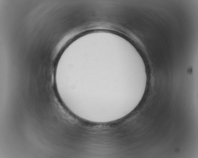 X0000112841368200909181703