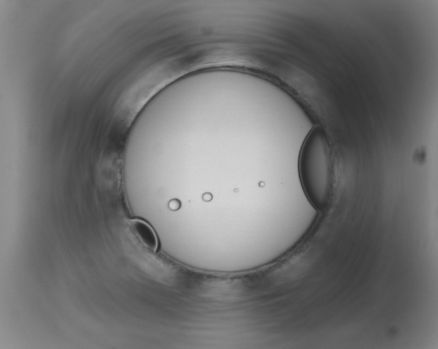 X0000112841369200909181703