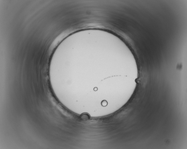 X0000112841373200909181703