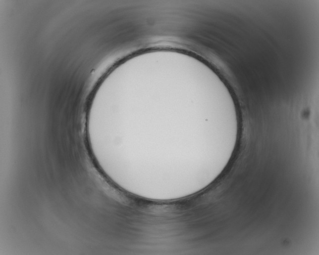 X0000112841376200909181703