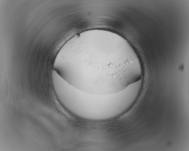 X0000112841377200909181703