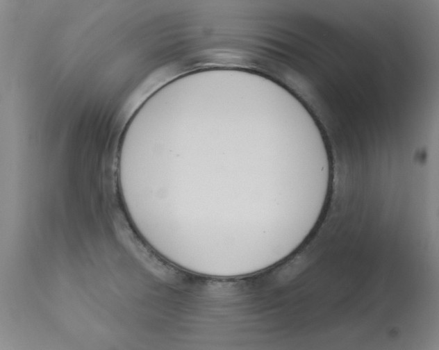 X0000112841378200909181703