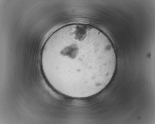 X0000112841379200909181703