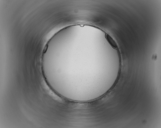 X0000112841381200909181703