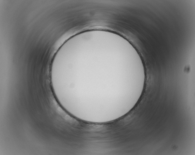 X0000112841382200909181703