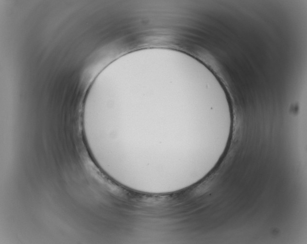 X0000112841386200909181703