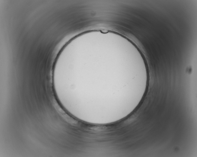 X0000112841388200909181703