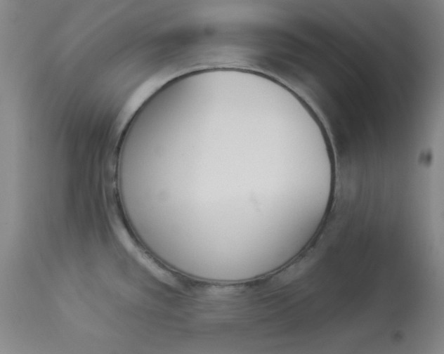 X0000112841389200909181703