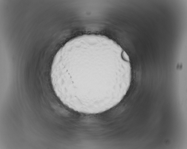 X0000112841393200909181702