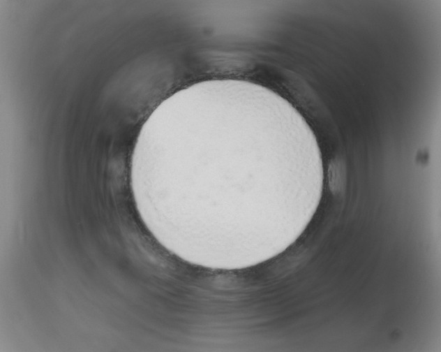 X0000112841395200909181702