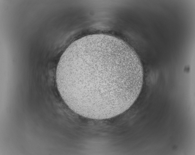 X0000112841397200909181702