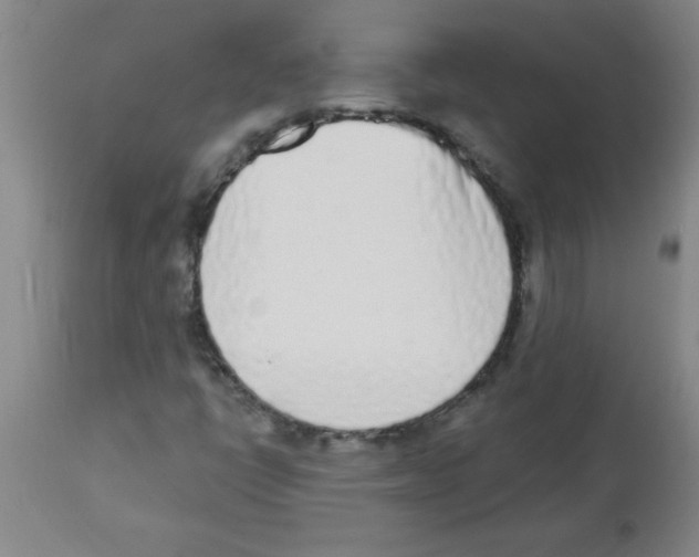 X0000112841398200909181702