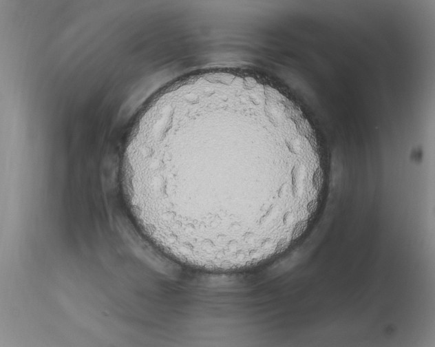 X0000112841401200909181702