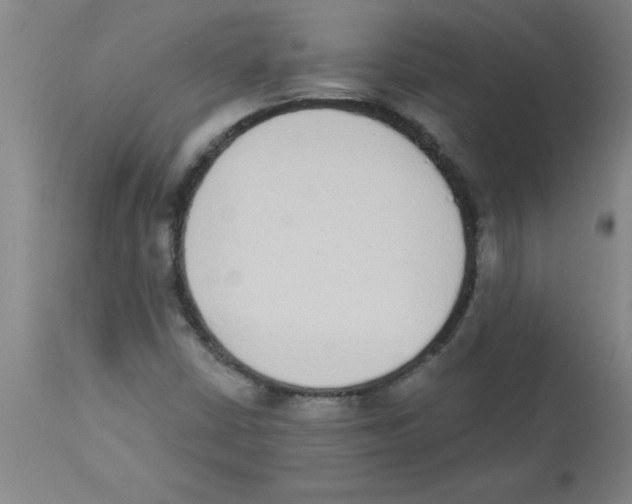 X0000112841402200909181702