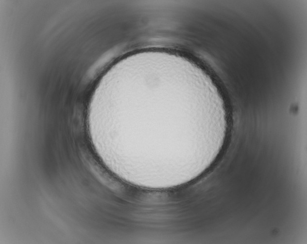 X0000112841403200909181702