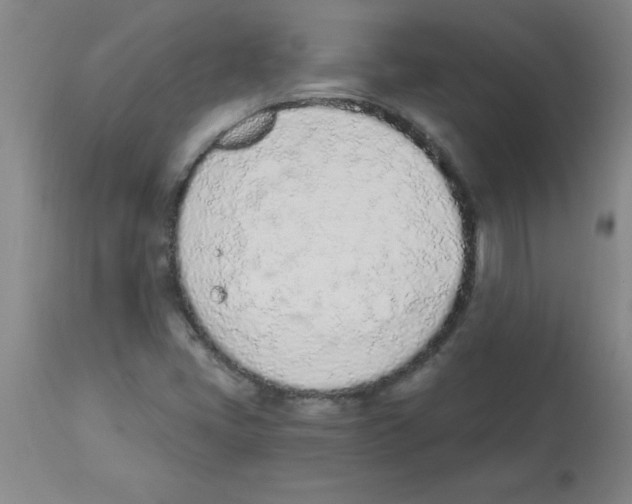 X0000112841405200909181702