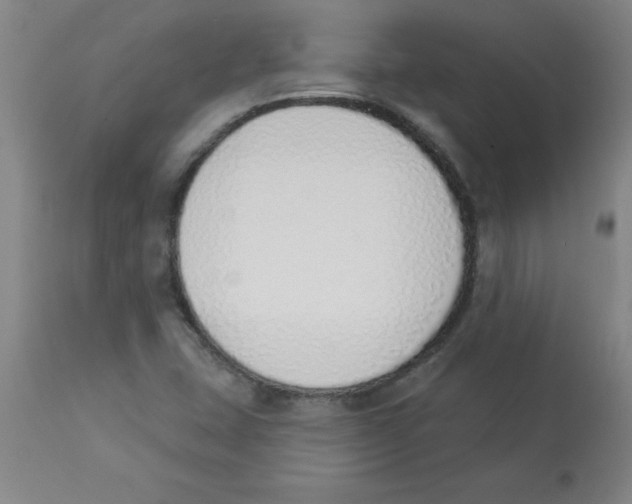 X0000112841407200909181702