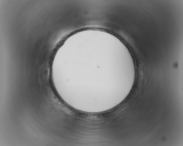 X0000112841408200909181702