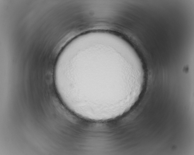 X0000112841409200909181702