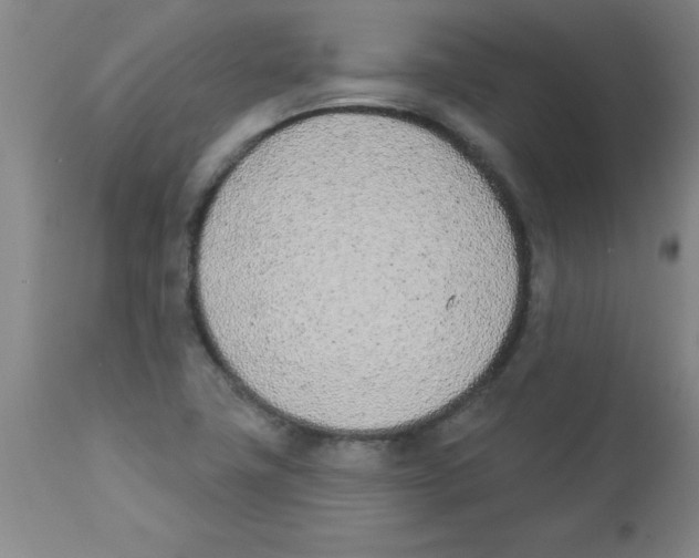 X0000112841411200909181702