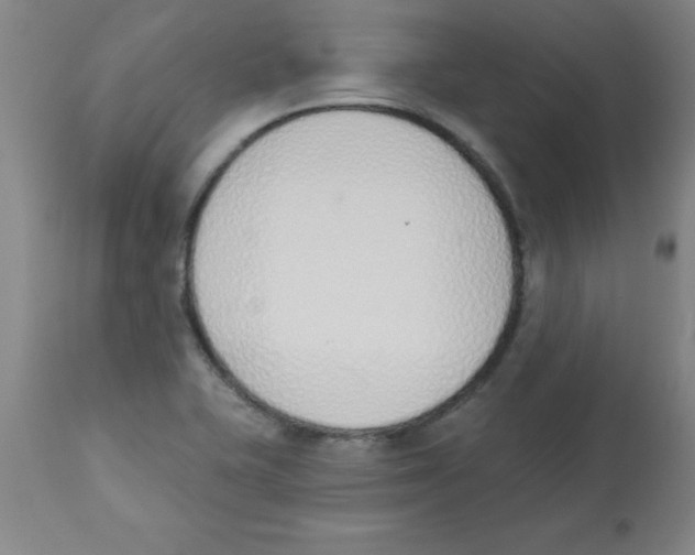 X0000112841415200909181702