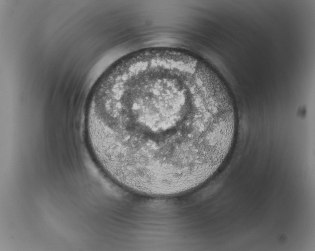 X0000112841418200909181702