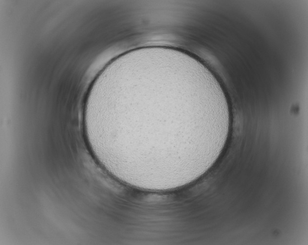 X0000112841419200909181702