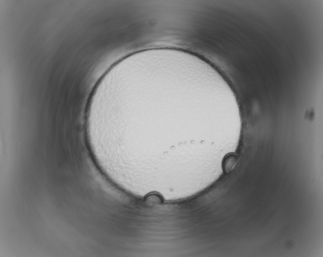 X0000112841423200909181702