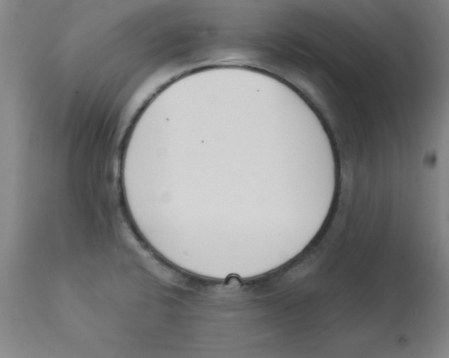 X0000112841424200909181702