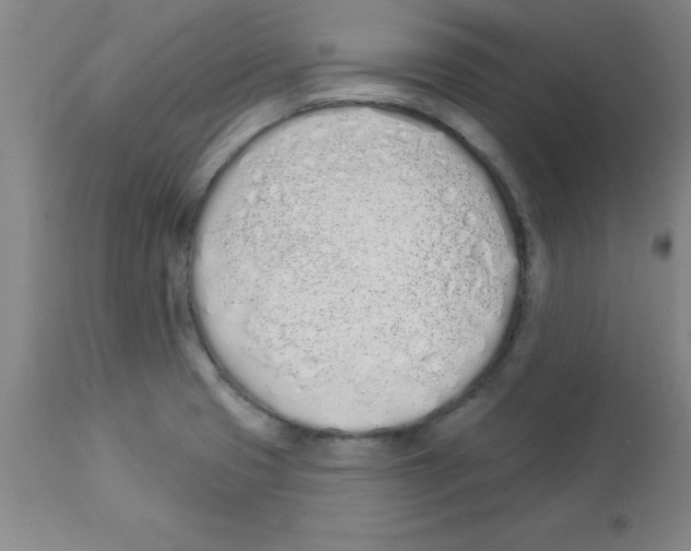 X0000112841425200909181702