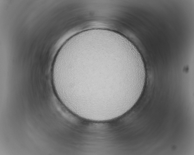 X0000112841427200909181702