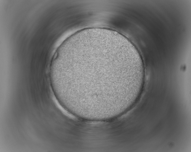 X0000112841429200909181702