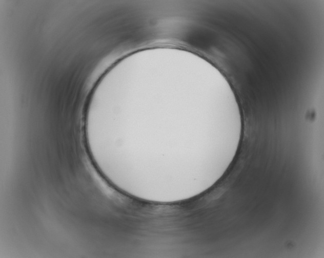 X0000112841430200909181702