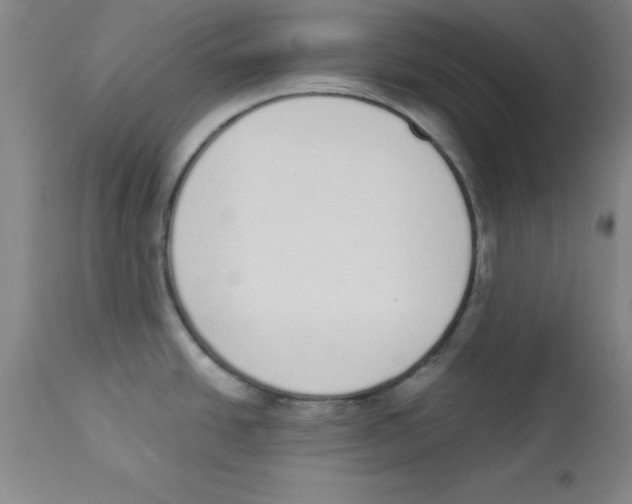 X0000112841438200909181703