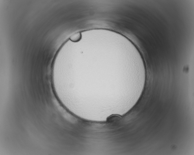 X0000112841439200909181703