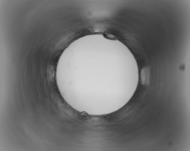 X0000112841443200909181702