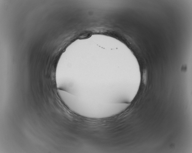 X0000112841444200909181702