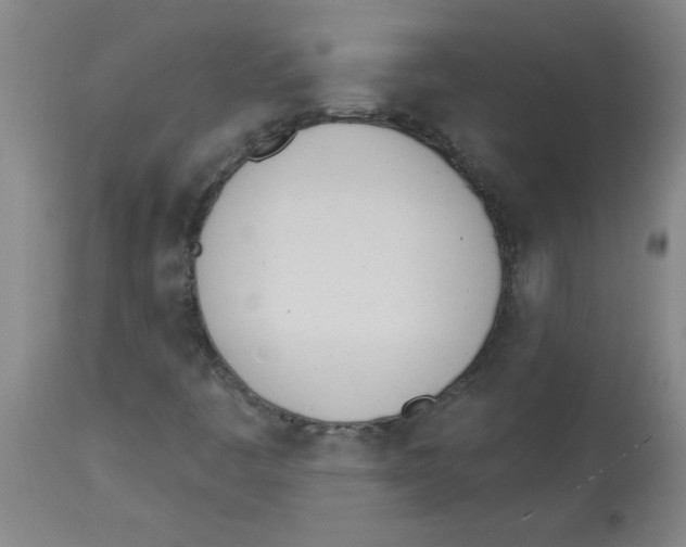 X0000112841445200909181702