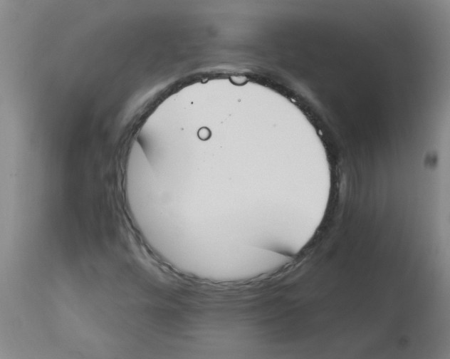 X0000112841448200909181702