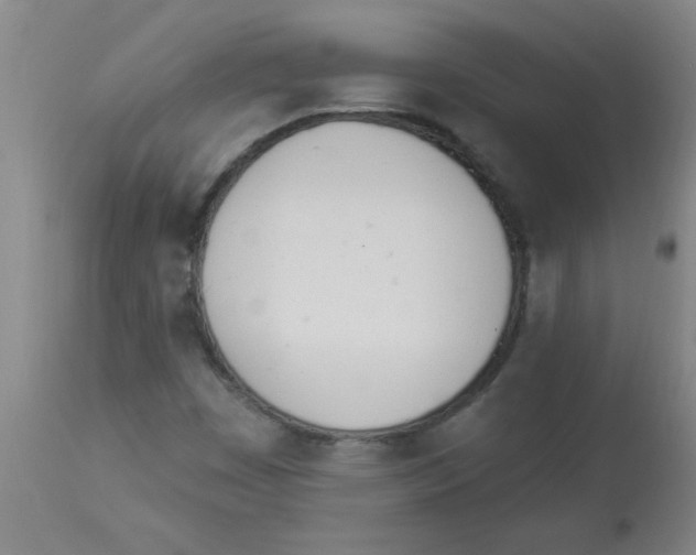 X0000112841449200909181702