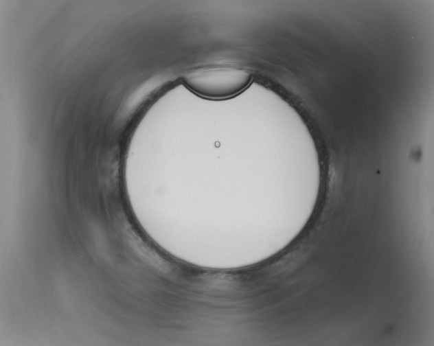 X0000112841450200909181702