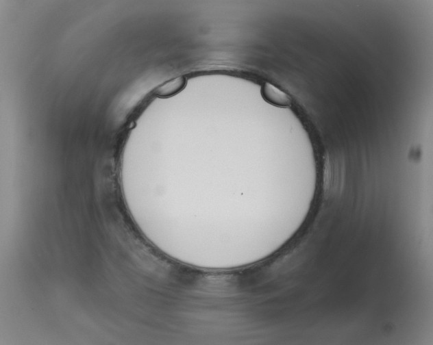 X0000112841453200909181702