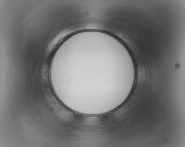 X0000112841454200909181702