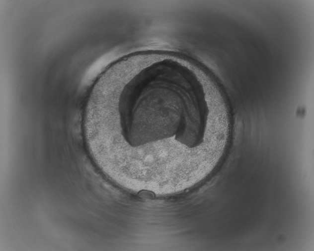 X0000112841455200909181702