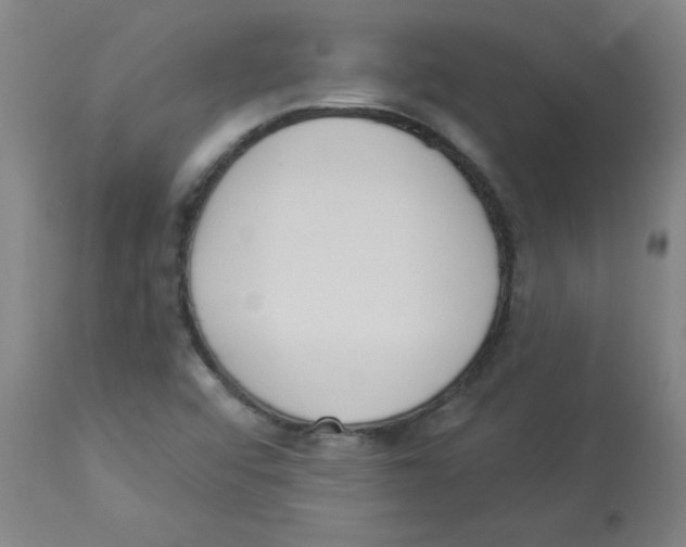 X0000112841456200909181701