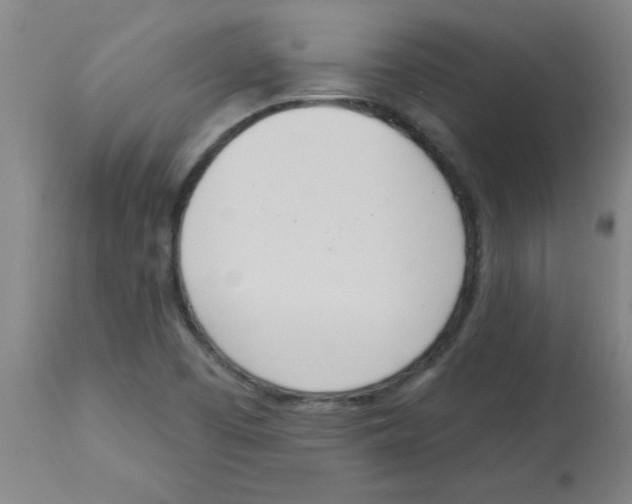 X0000112841457200909181701