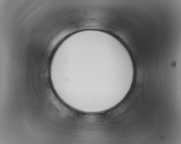 X0000112841458200909181701