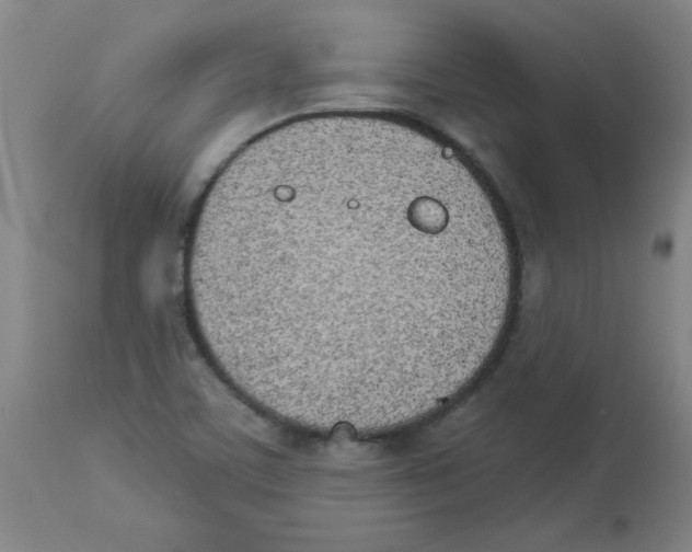 X0000112841459200909181701