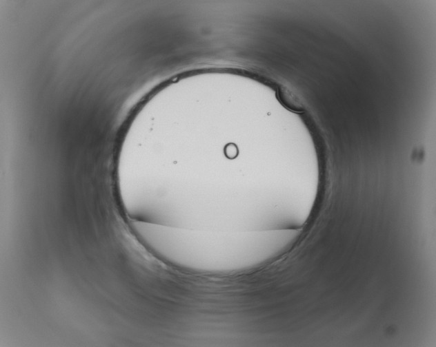 X0000112841460200909181701